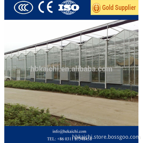 5mm ultra clear tempered glass for greenhouse with factory price